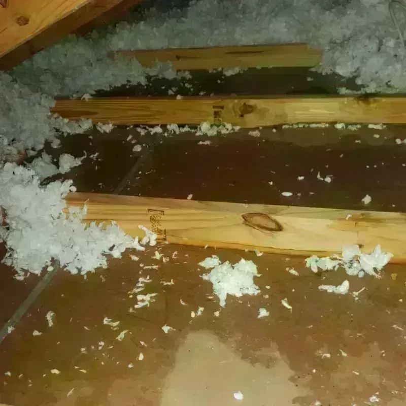 Attic Water Damage in Santa Ynez, CA